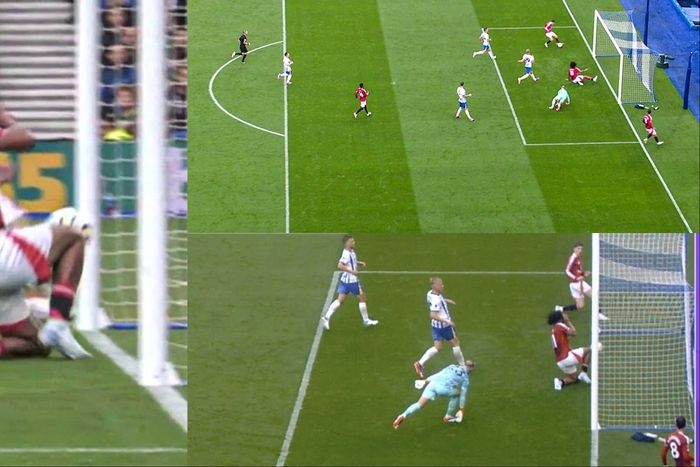 See what Manchester United fans are saying about Nigerian-born Joshua Zirkzee after Joao Pedro gives Brighton all 3 points in a Premier League encounter.