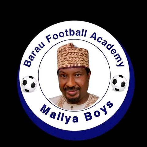 Nigerians react to hilarious logo of a football academy