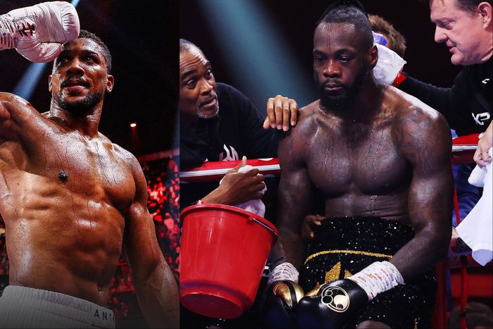 Psychedelic drugs to blame as Edo Man Deontay Wilder lost 125 billion fight against Anthony Joshua.