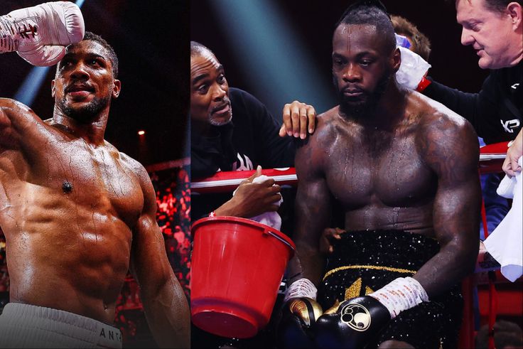 Psychedelic drugs to blame as Edo Man Deontay Wilder lost 125 billion fight against Anthony Joshua.