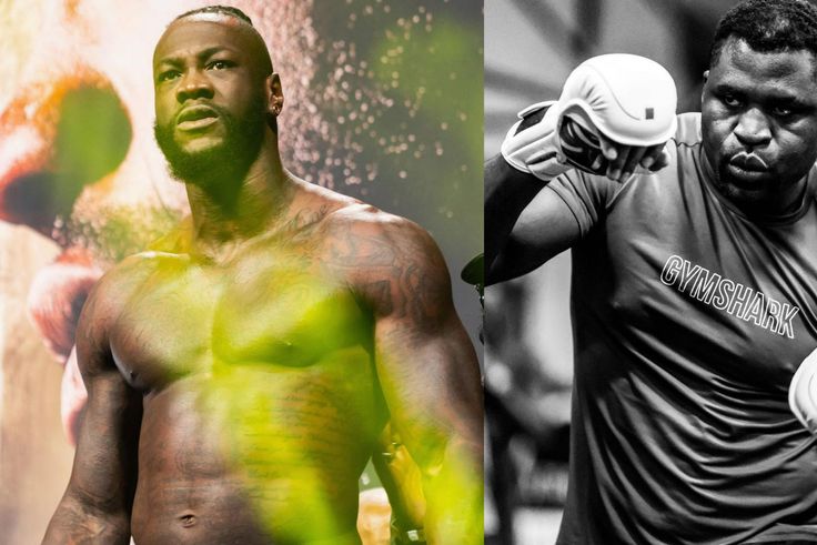 Deontay Wilder not fighting Francis Ngannou just for money