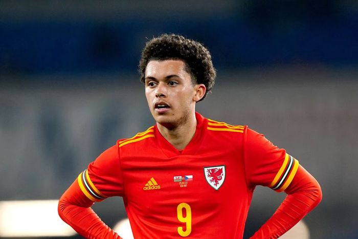 Brennan Johnson has pulled out of Wales' squad due to injury