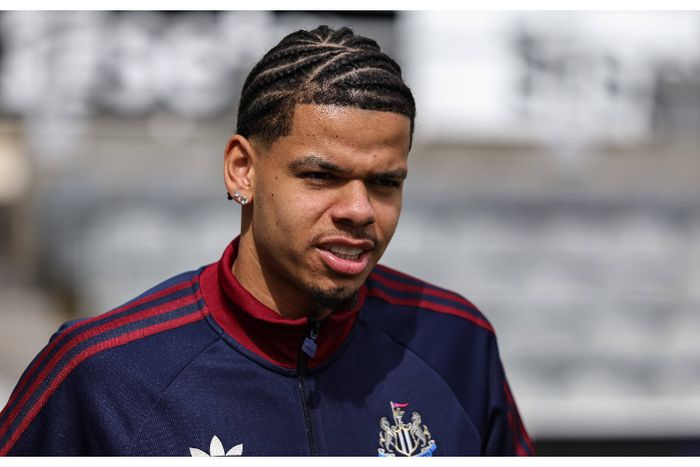 Ex-Super Eagles star backs NFF's pursuit for Osula