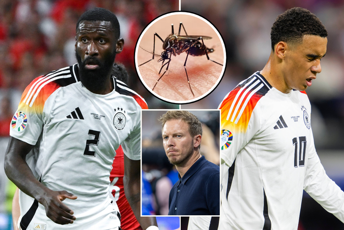EURO 2024: Mosquitoes reportedly invade Germany's camp