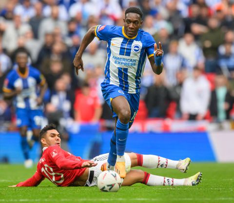 Liverpool vs Brighton preview, prediction, team news, and head-to-head |  Pulse Sports Nigeria