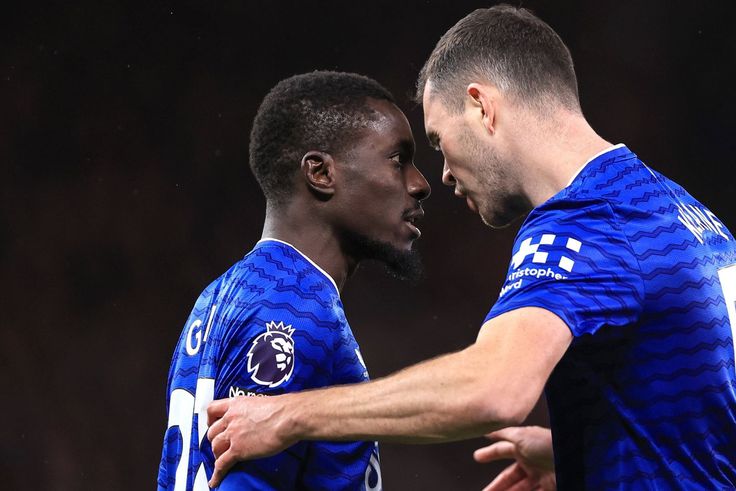 5 Memorable Times Players Lost It Like Idrissa Gueye Did Against Everton