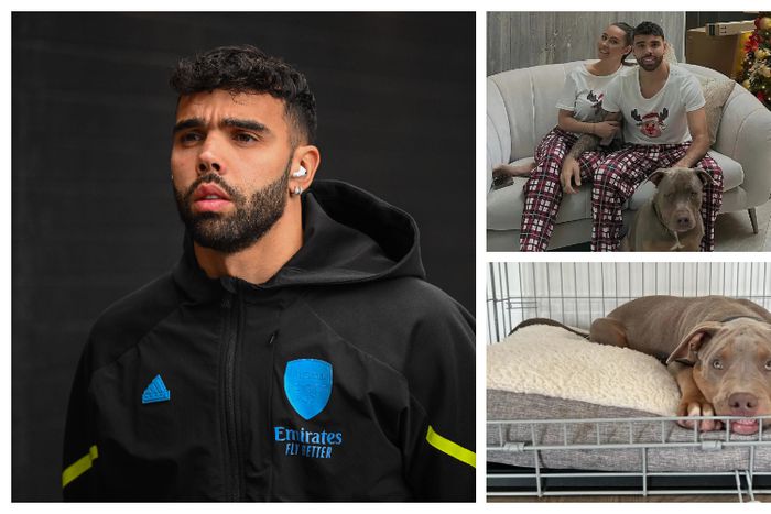 David Raya acquires banned dog for protection