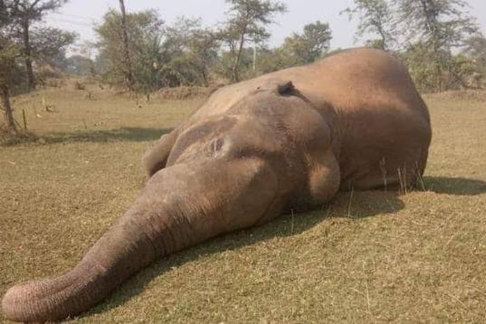 NPFL: Enyimba and Shooting will switch attention to the Super 6