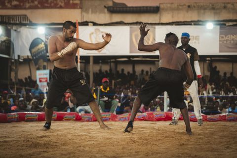 Winners emerge at Dambe Championship in Kano