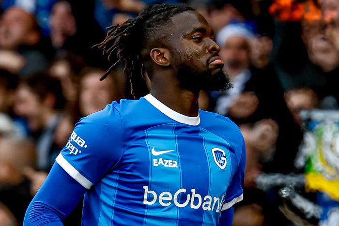 Toluwase Arokodare came off the bench to destroy Royal Antwerp.