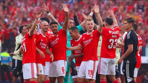 Benfica pip Porto to lift Portugal's league title on final day