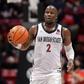 Silverback Adam Seiko joins the Golden State Warriors