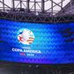 Copa America: How are the world's most expensive midfielders performing?