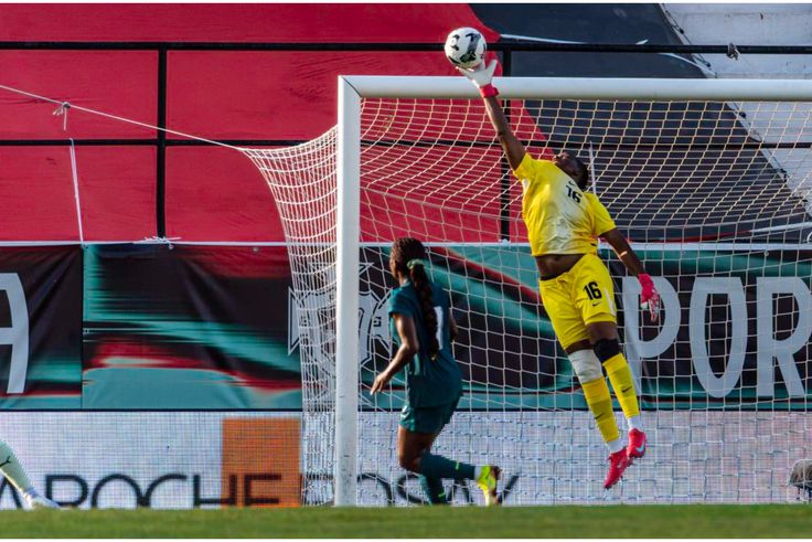 Africa's best goalkeeper, Chiamaka Nnadozie.