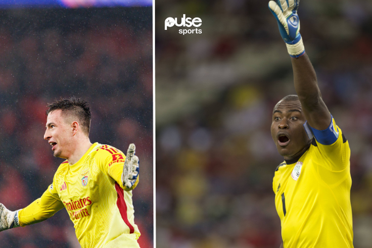 Anatoliy Trubin equals Vincent Enyeama | Imago