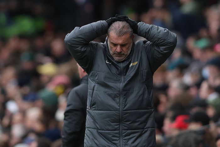 Ange Postecoglou. Photo. Imago