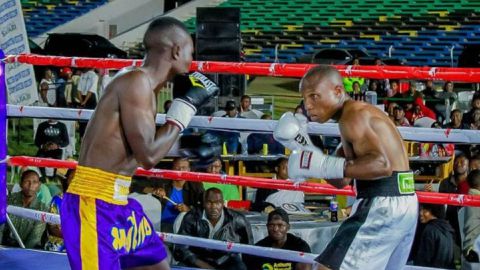 Tanzanian boxer dies after collapsing during fight