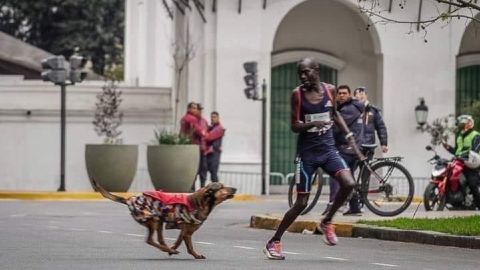 How unleashed dog robbed Kenyan marathoner Ksh 1 million in Argentina