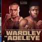 Nigerian-born David Adeleye boxer returns against Wardley on Tyson Fury vs Francis Ngannou undercard - Image Credit - Instagram/David Adeleye