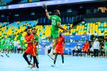 Nigeria Golden Arrows edge Guinea 30–28 to stay alive in World Cup qualification race