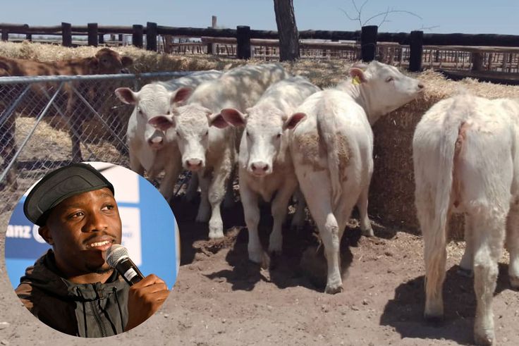 Proud Letsile Tebogo shows off growing investment as he enjoys well-earned break