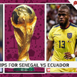 Betting tips and odds for Ecuador vs Senegal