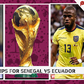 Betting tips and odds for Ecuador vs Senegal