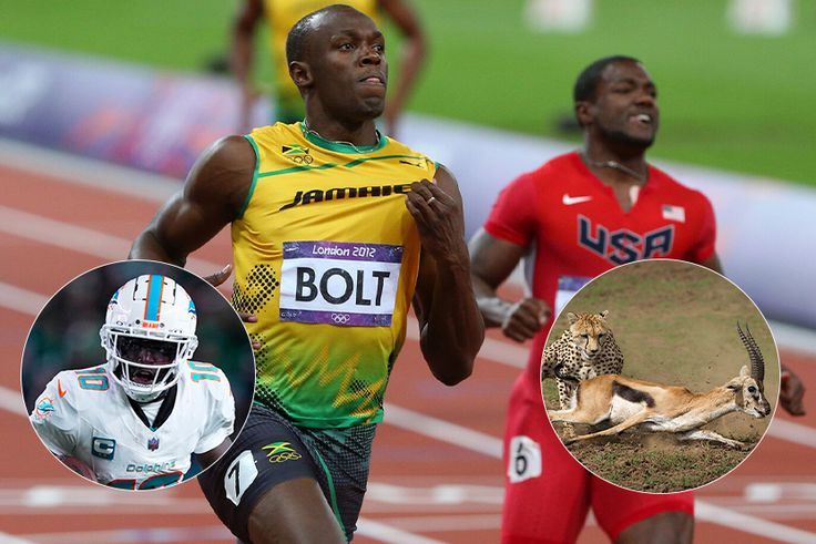 American sprint icon explains the real difference between track and NFL speed with regards to gazelles and cheetars