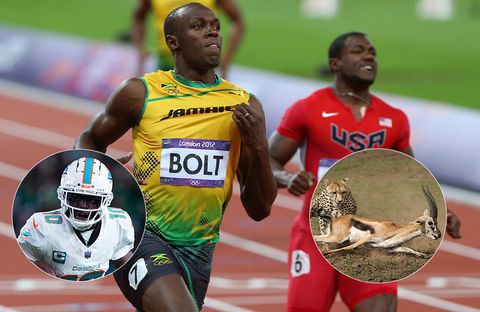 American sprint icon explains the real difference between track and NFL speed with regards to gazelles and cheetars