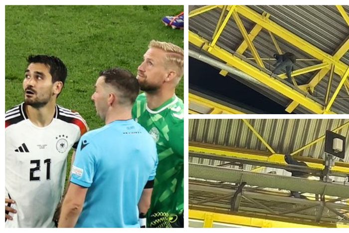 Masked man climbs roof of Dortmund stadium