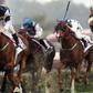 Inside Nigeria's Growing Horse Racing Boom
