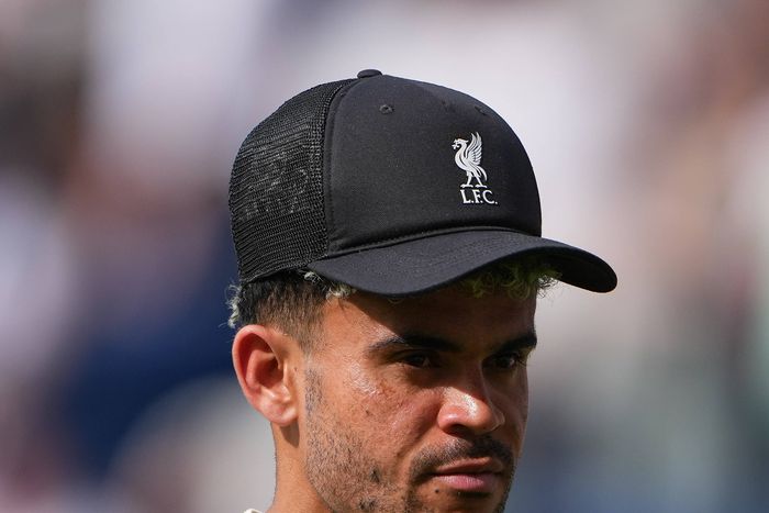 Liverpool winger Luis Diaz has completed move to Bayern Munich.