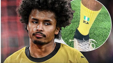 Karim Adeyemi: Borussia Dortmund star shows off Nigeria against Bayern Munich