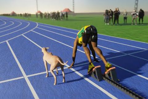 Is Usain Bolt faster than the world's fastest dog? 3D simulation puts theory to test