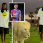 Why are you doing this? - Ex-Barcelona star left stunned by Alex Iwobi after flaunting his wild new companion