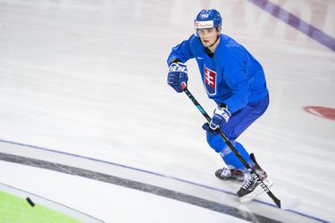 MS v hokeji: Adrián Holešinský o svojich zdravotných problémoch: Žiaľ, teraz to nie je o nič lepšie