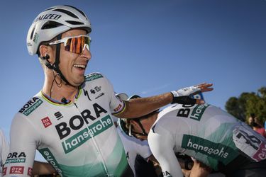 Dánska mačka zo 6 možností správne určila Petra Sagana ako víťaza 10. etapy Giro d'Italia