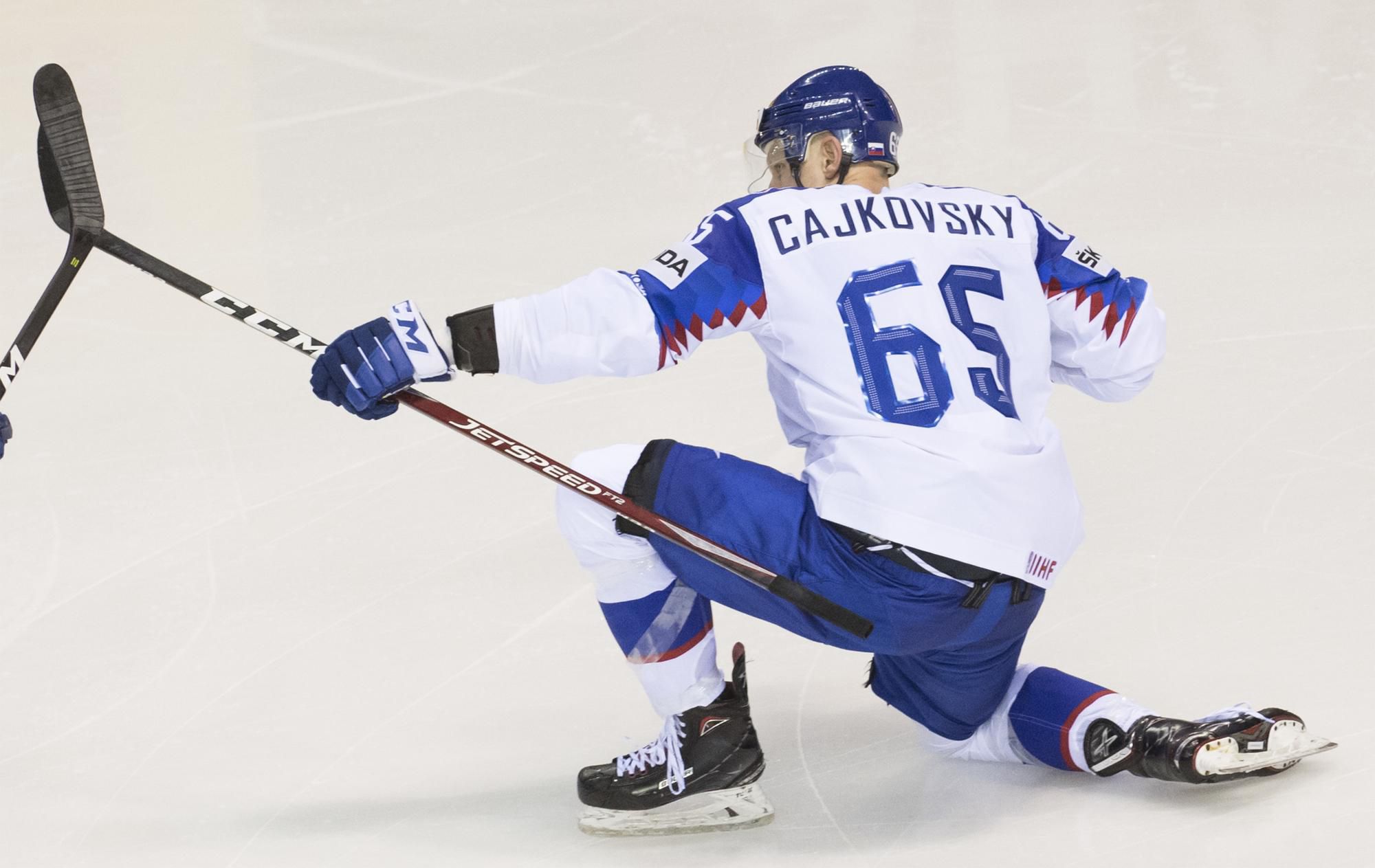 Slovenský hokejista Michal Čajkovský sa raduje z gólu.