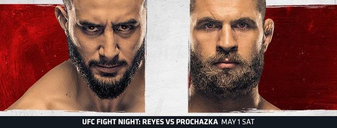 Dominick Reyes - Jiří Procházka (UFC Vegas 25)