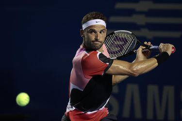 ATP Antverpy: Dimitrov postúpil do štvrťfinále, Carreno-Busta nečakane vypadol