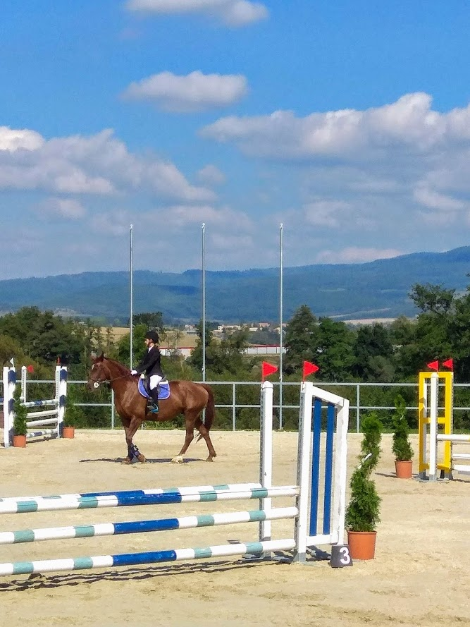 Občianske združenie Herbidus