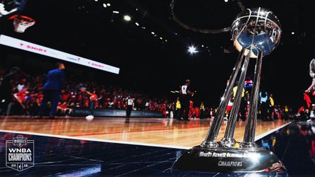 WNBA: Washington zorganizoval virtuálnu oslavu titulu