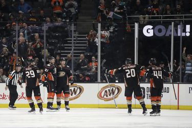 Anaheim Ducks predĺžil zmluvy s dvojicou hráčov