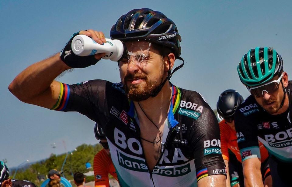 Peter Sagan, BORA Hansgrohe