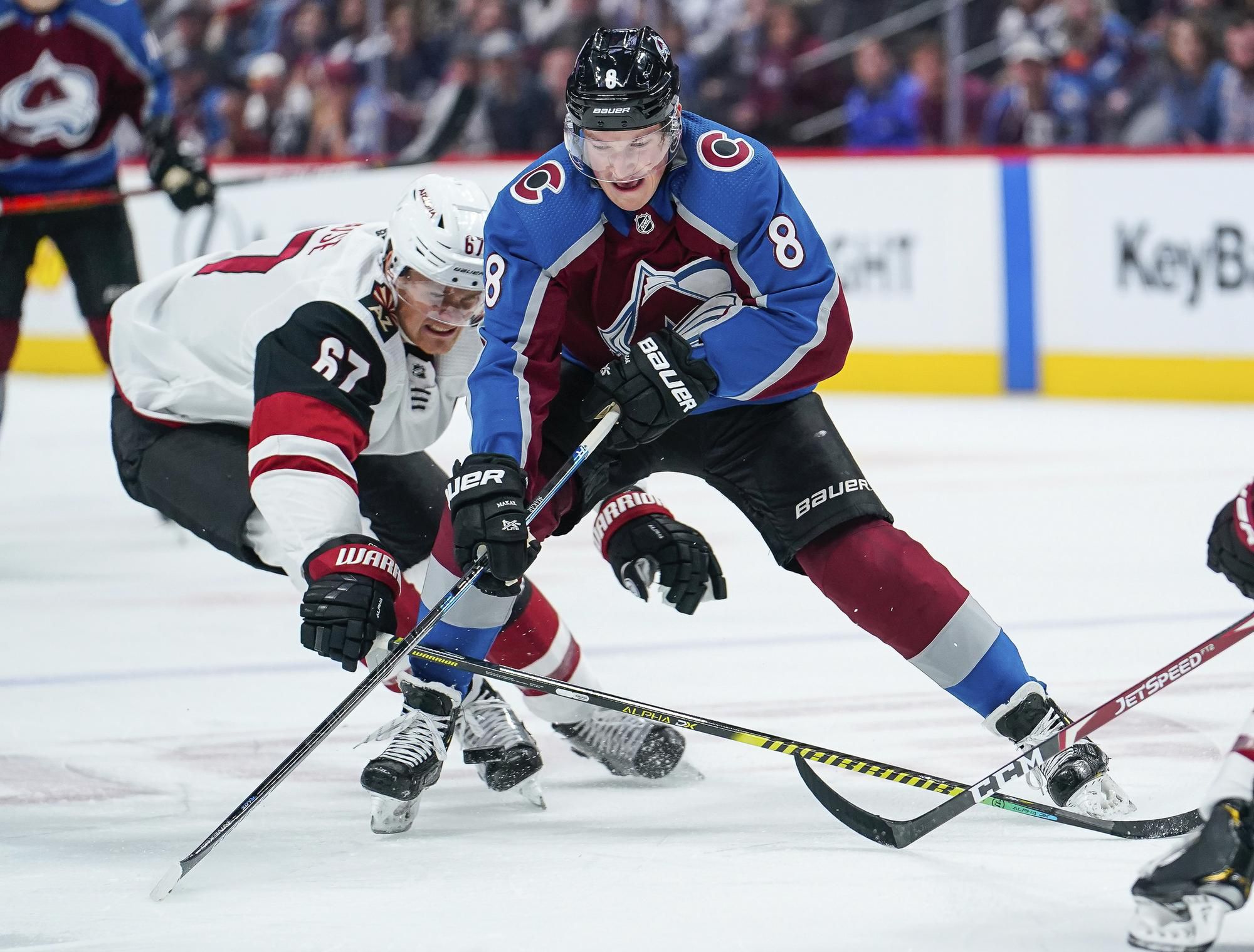 Cale Makar