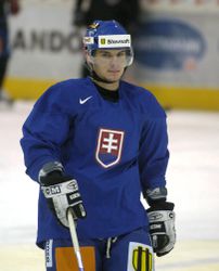 Novým športovým manažérom MsHK Žilina sa má stať známe hokejové meno