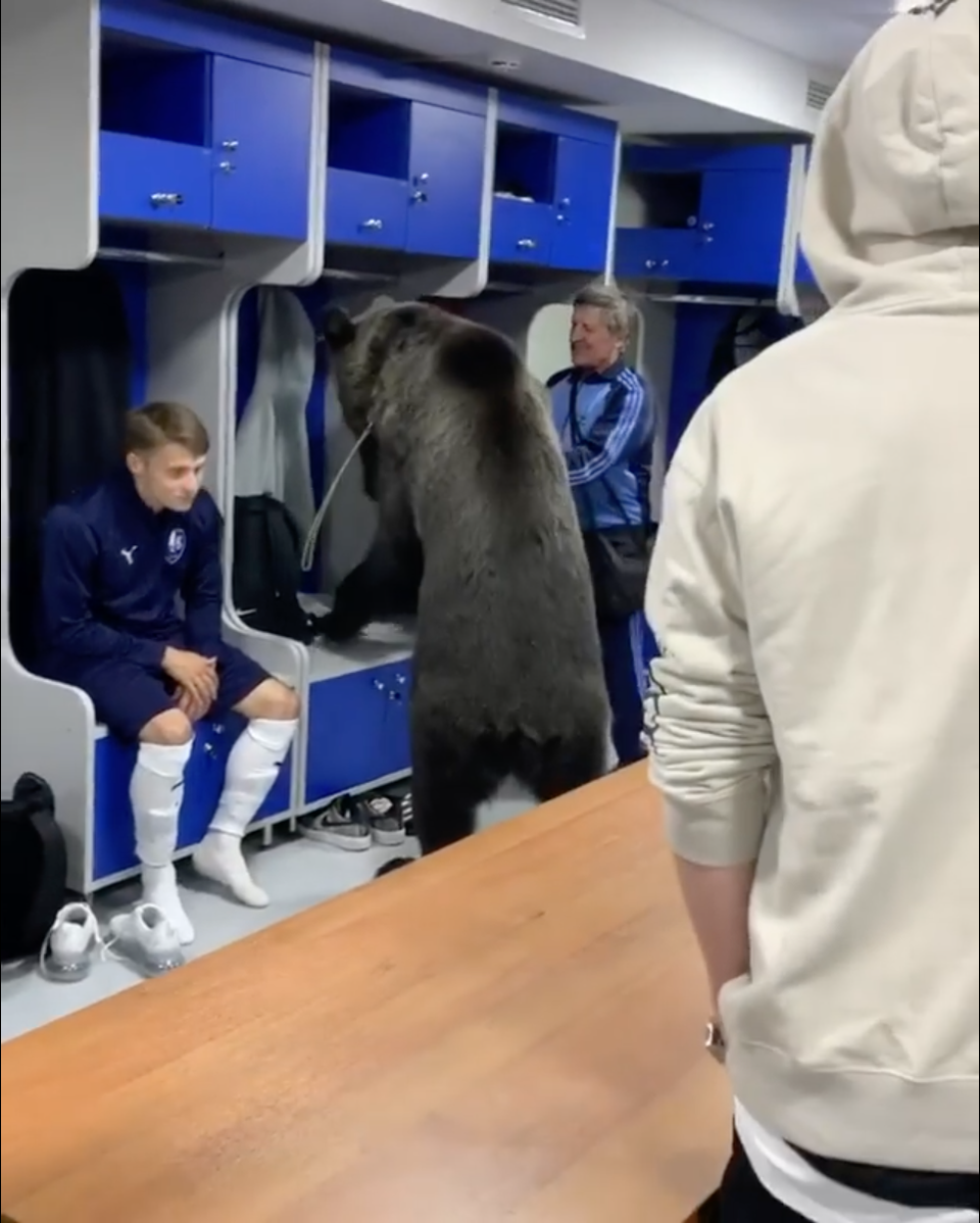 V Rusku prišiel do šatne futbalistov medveď