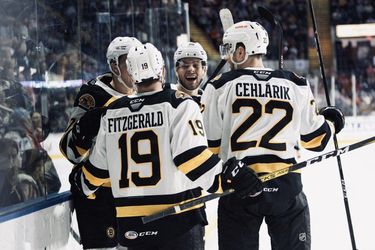 AHL: Peter Cehlárik sa gólom podieľal na triumfe Providence