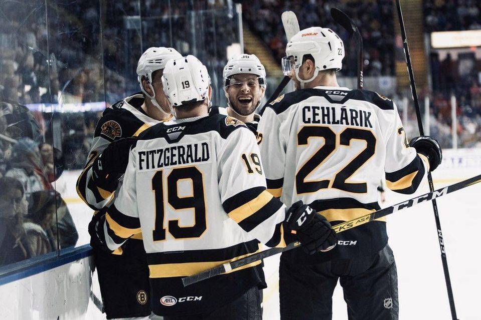 Radosť hráčov Providence Bruins s Petrom Cehlárikom.