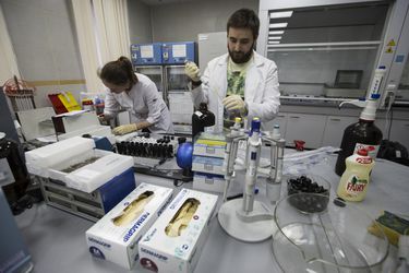 V Rusku vykonali v priebehu troch mesiacov 3000 dopingových testov